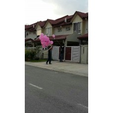Balloon distribution
